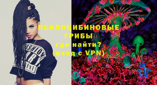 гидропоника Белокуриха