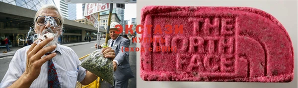 гидропоника Белокуриха